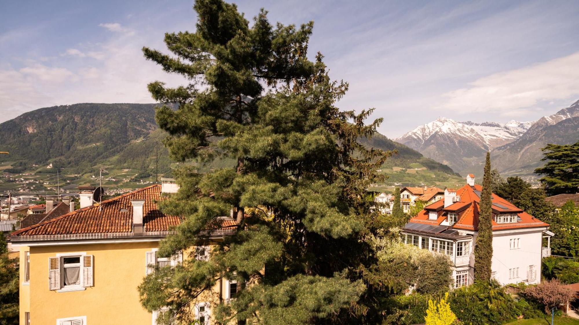 Hotel Villa Laurus Мерано Экстерьер фото